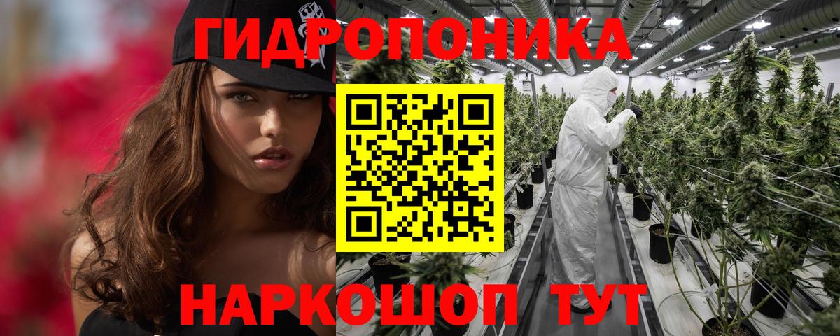 Шишки марихуана марихуана  Вход с VPN  Можга  Бошки марихуана план  Каннабис AK-47 